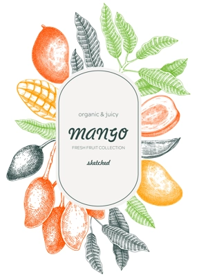 Tropical fruit flyer template. Summer background. Mango fruit sketch, hand-drawn vector illustration. Tropical plant frame, juice packaging, print design. NOT AI generated